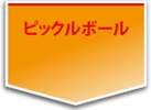 ピックルボール